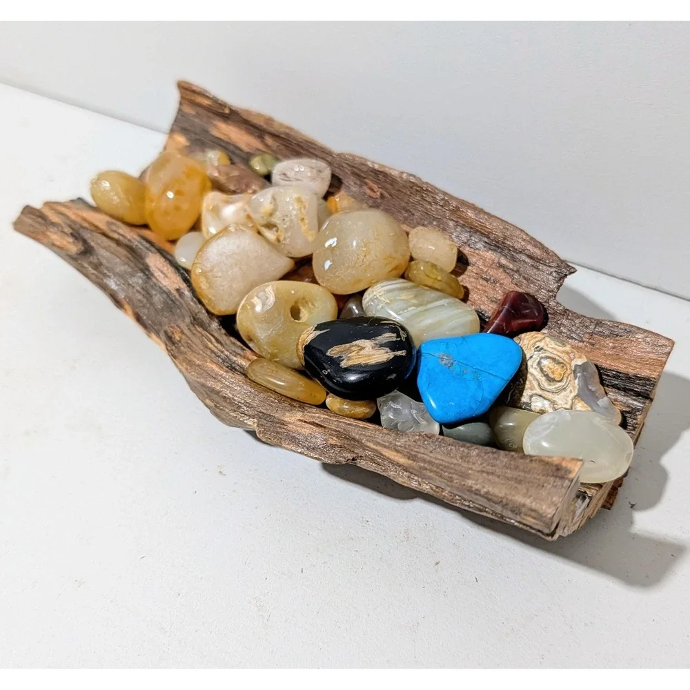 Black Locust Hollow Root Fairy garden or Gemstone Display. 9